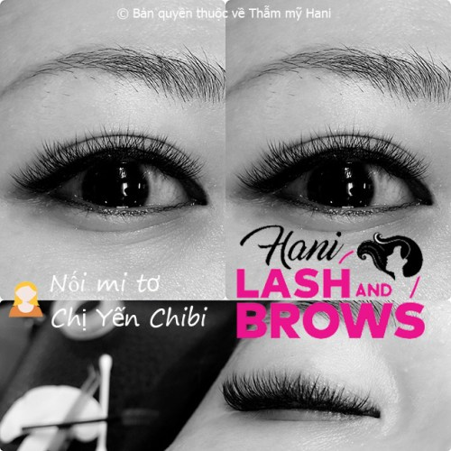 Eyelash Extension Certification: Your Complete Guide to Becoming a Certified Lash Technician 6 image 8